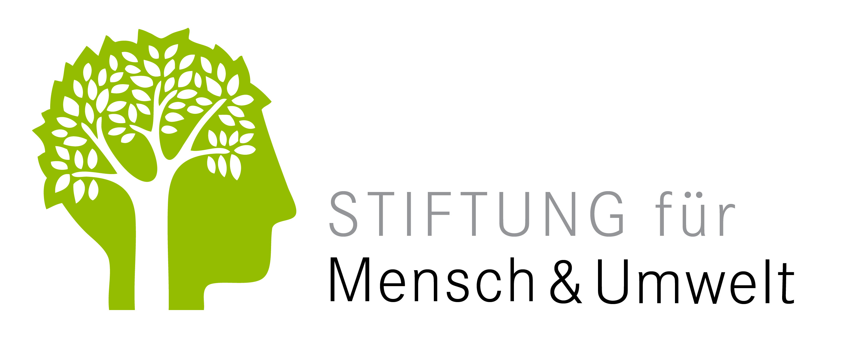 stiftung logo web